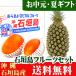  Ishigakijima фрукты набор подарок 3 шар комплект ( манго 2 шар * Ishigakijima сосна 1 шар ) бесплатная доставка 
