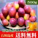  Okinawa * Ishigakijima производство Mini манго 500g(3~12 шар )