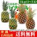  Ishigakijima pine set snack pine *pi-chi pine 3kg 3~5 sphere Okinawa 