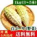  Okinawa префектура Ishigakijima производство белый горький огурец 1kg(3~5шт.@) бесплатная доставка 