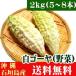  white bitter gourd -2kg(5~8ps.@) Okinawa prefecture Ishigakijima production free shipping 