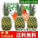 снэки сосна 2kg(2~3 шар ) Okinawa префектура Ishigakijima производство бесплатная доставка 