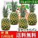  Ishigakijima snack pine 3kg 3~5 sphere Okinawa 
