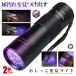 2ĥå 12LED 糰 ֥å饤 UV饤 糰 饤 쥸ѹŲ饤 ܤˤϸʤк 륹к  ڥå 12BLACKLL
