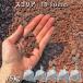 . скальная порода sko задний (10-20mm) 5 пакет комплект / итого примерно 75kg гравий модный японский стиль в европейком стиле двор гравий камень двор двор камень косметика гравий натуральный гравий блокировка сад 