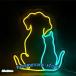  кошка. собака. neon автограф, животное. неоновый свет, собака. неоновый свет, домашнее животное магазин. neon автограф, домашнее животное магазин. стена. оборудование орнамент,. кошка. . собака. LED свет автограф F