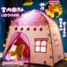  бесплатная доставка ребенок палатка Kids палатка house Princess маленький . замок складной палатка LED с подсветкой ребенок секрет основа земля место хранения сумка имеется . день рождения подарок 