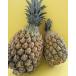  снэки сосна (po раскладушка *bo гол сосна ) примерно 3kg(2~4 шт ) Okinawa * Ishigakijima .. прямая поставка 