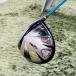  Honma bi Zeal 535 Driver одиночный товар мужской Golf начинающий введение очень популярный HONMA BeZEAL VIZARD EX-Z65vai The -do карбоновый 