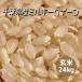 新米 米 玄米 25kg ミルキークイーン 令和1年産 綺麗仕上 本州四国 送料無料 精米無料 小分け可