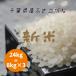 米 白米 25kg ×1袋 ふさこがね 29年産 本州四国 送料無料 分け不可 簡易包装