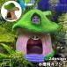  аквариум для произведение искусства house type дом товары для домашних животных .. дом ценные рыбы тропическая рыба аквариум внутри интерьер орнамент расположение сопутствующие товары оборудование орнамент модный me Dakar золотая рыбка aqua 