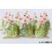  leaf lettuce красный 24 штук входит пестициды . используя нет поэтому безопасность * безопасность нет пестициды 