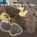 чёрный трюфель примерно 100g~ свежий Австралия производство 1g на 395 иен ( включая налог ) повторный счет чёрный трюфель сырой свежий рефрижератор гурман подарок Golf конкурсный приз 