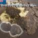  чёрный трюфель примерно 30g~ свежий Австралия производство 1g на 400 иен ( включая налог ) повторный счет чёрный трюфель сырой свежий рефрижератор гурман подарок Golf конкурсный приз 