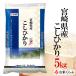 精米 新米 5kg 送料無料 白米 令和元年産 宮崎県産 コシヒカリ 5ｋｇ こしひかり 5KG  熨斗承ります