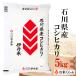 新米 5kg 送料無料 白米 令和元年産 石川県産コシヒカリ 熨斗承ります