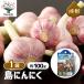 ITANSE garlic kind bulb island garlic vegetable. seedling net .. vegetable bulb filling hour 100g/1 sack 1 piece sale free shipping i tongue se official 