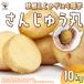 ITANSE осень .. картофель. семенной клубень товар вид : san ... круг 10kg( заполнение час ) овощи рассада /1 шт продажа картофель jagaimo семенной клубень i язык se официальный 