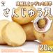 ITANSE осень .. картофель. семенной клубень товар вид : san ... круг 20kg( заполнение час ) овощи рассада /1 шт продажа картофель jagaimo семенной клубень i язык se официальный 