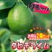 ITANSE ライム苗 タヒチライム 果樹苗 9cmポット 2個セット 人気の柑橘類の苗 送料無料 イタンセ公式