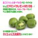 ITANSE �T���i�V�c �x�r�[�L�E�C �u�G���_�[�v���u�X�C�[�g�O���[���v 9cm�|�b�g �e1�� ���v2�Z�b�g �ʎ��c �������� �C�^���Z���� �֘A�摜4