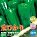 ITANSE зеленый перец. рассада столица ... овощи рассада контактный дерево рассада 9cm pot 4 шт. комплект бесплатная доставка .-.. зеленый перец рассада i язык se официальный 