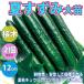 ITANSE огурец рассада лето ... огурец большой рассада овощи рассада контактный дерево рассада 12cm pot 2 шт бесплатная доставка i язык se официальный 