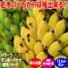 ITANSE banana seedling dowa-f Monkey banana (.. banana ) fruit tree seedling 13.5cm pot 1 piece free shipping i tongue se official 