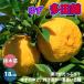 ITANSE �M�q�c ���c�т̕c�� �ʎ��c 18cm�|�b�g �ږؕc 1�� �l�C�̊��k�ނ̕c �䂸 ���Y �������� �C�^���Z����