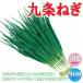 ITANSE лук-батун рассада 9 статья лук порей много шарик .. рассада овощи рассада 9cm pot 4 шт. комплект лук порей рассада бесплатная доставка . лук порей лук-батун рассада i язык se официальный 
