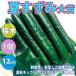 ITANSE огурец рассада лето ... огурец большой рассада овощи рассада контактный дерево рассада 12cm pot 1 шт бесплатная доставка i язык se официальный 