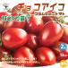 ITANSE мини помидоры. рассада шоко Aiko ветка ... рассада овощи. рассада 12cm pot контактный дерево рассада /. сделка 2 шт. комплект мини помидоры огород i язык se официальный 