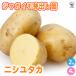 ITANSEjagaimo... рассада nisiyutaka овощи. рассада 12cm/. сделка 2 шт. комплект картофель jagaimo... клубень ... рассада ..