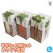  культивирование комплект .... корнеплоды 3 вида комплект /1 шт продажа простой комплект культивирование комплект легкий садоводство 