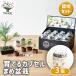  культивирование комплект ... Capsule .. бонсай /. сделка 3 шт. комплект простой комплект культивирование комплект легкий садоводство 