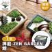  культивирование комплект . двор ZEN GARDEN обыкновенный карп /1 шт продажа простой комплект культивирование комплект легкий садоводство 