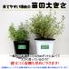 ITANSE �n�[�u�c ���q�[�g�~���g(�C�G���o�u�G�i) 10.5cm�|�b�g 2�Z�b�g �������� �L���[�o�~���g �������ŊȒP�I��Ă₷���n�[�u�c�I �C�^���Z���� �֘A�摜5