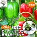  случайный овощи комплект зеленый перец паприка овощи. рассада 3.5 номер /. сделка 24 шт. комплект садоводство огород веранда . земля культивирование простой культивирование посадочная машина 