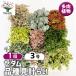 ITANSE �Z�_�� �i�팩�v�� �����A�� 3���|�b�g/1���� �O�����h�J�o�[ �ϗt�A�� ���r���O �I�t�B�X �C���e���A �C�^���Z����