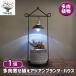  много мясо .... Asian растения house суккулентное растение 4 номер /1 шт продажа .... садоводство living офис офисная работа место интерьер 