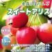 ITANSE еда для маленький реальный яблоко сладкий Alice садовое дерево контактный дерево рассада 5 номер контактный дерево рассада 1 шт продажа растение .. для подарок джем si- доллар иметь машина культивирование бесплатная доставка i язык se официальный 