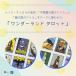 �����_�[�����h �^���b�g�i�ʓ���j The Wonderland Tarot in a Tin �^���b�g�J�[�h �E�F�C�g�� �^���b�g �肢 ���킢�� �~�j ���{�������t�� �������� ���K�i �֘A�摜4