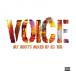 DJ106 / VOICE Vol.5 -ROOTS-