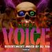 DJ 106 / VOICE -RESENTMENT-