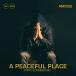 A Peaceful Place (Pippo D'Ambrosio)