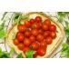 [ нет удобрение * природа культивирование ] мини помидоры примерно 500g[ Hokkaido :so- автомобиль ru ферма ][v600]*8/14( золотой ) отправка минут 