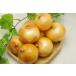 [ нет удобрение * природа культивирование ] шар лук порей 1kg[ Hyogo префектура : цветок холм сельское хозяйство ..][v1000]