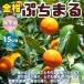 �����̕c�� �Ղ��܂�y�ʎ��c�^12�`15cm�|�b�g�ږؕc�^1�z