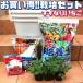 �l�C�̂����Ȃ肢�����͔|�L�b�g�y��ؕc 9cm�|�b�g�����ރZ�b�g�z